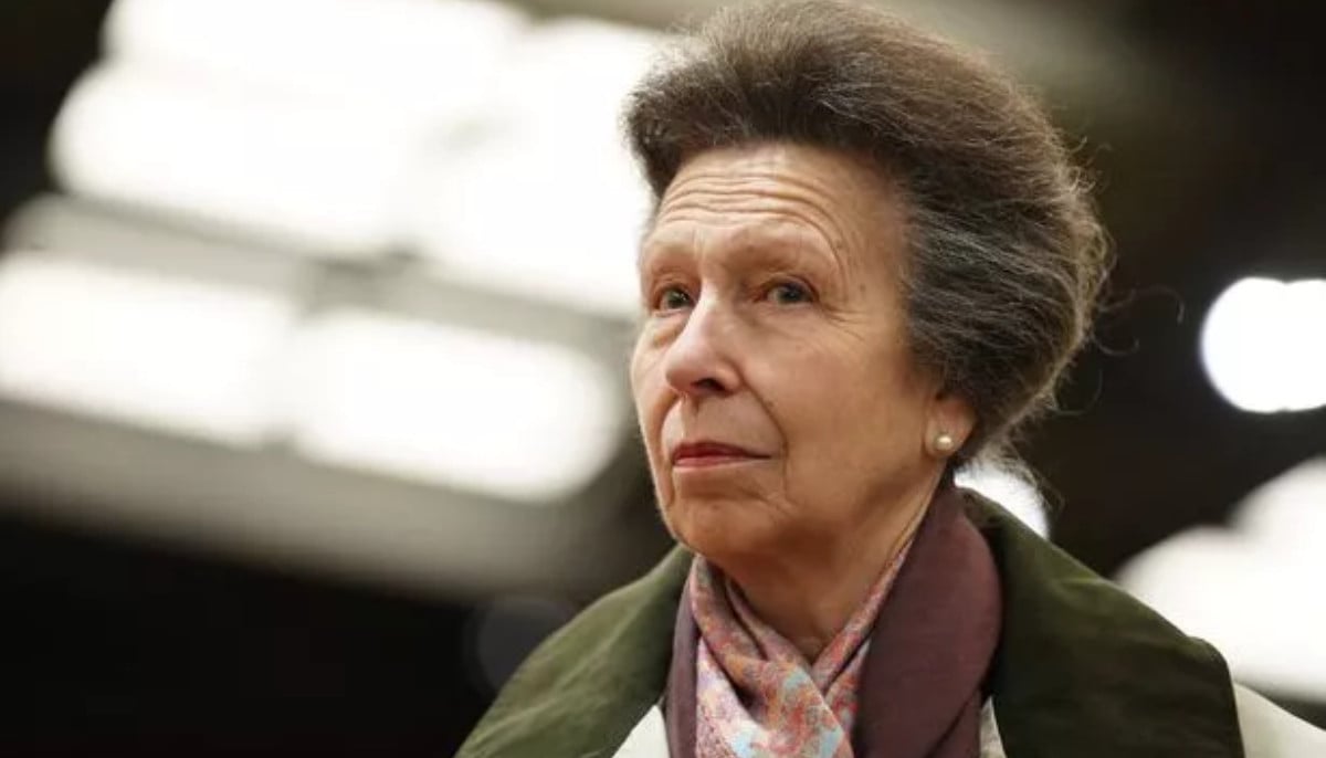 Princess Anne Expands Royal Duties With New Role Delaying Possibility