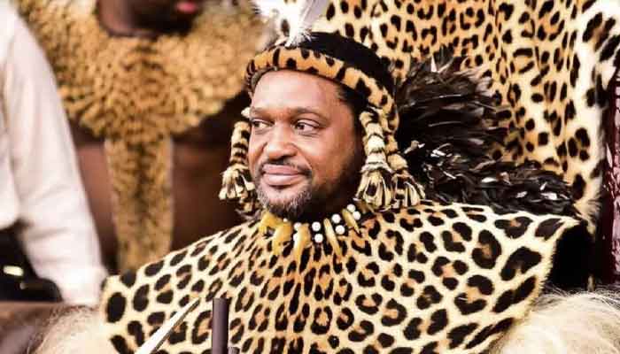 Zulu King wearing cheetah hides