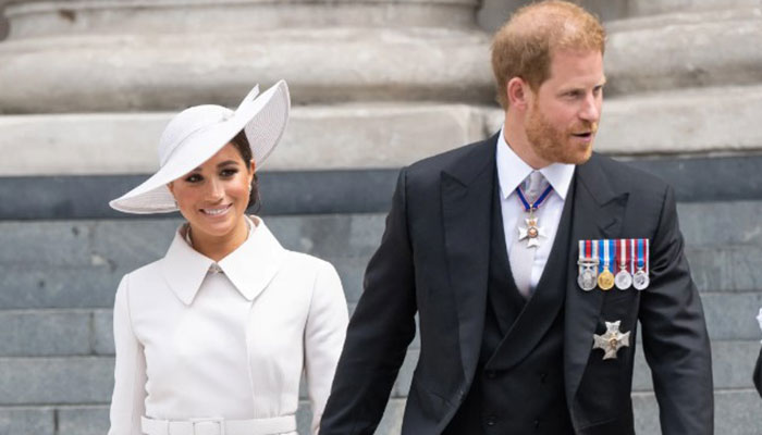 Meghan Markle and Prince Harry have been longtime fans of Dior but are not looking to create a partnership out of it