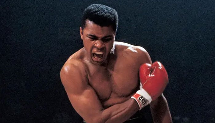 A towering legend who battled both opponents in the ring and societal barriers, leaving an indelible mark on history.