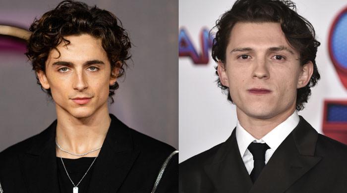 Timothee Chalamet Playfully Lends Tom Holland New Title The Celeb Post